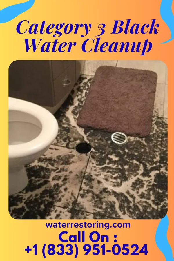 Category 3 Black Water Cleanup in Eddyville, KY