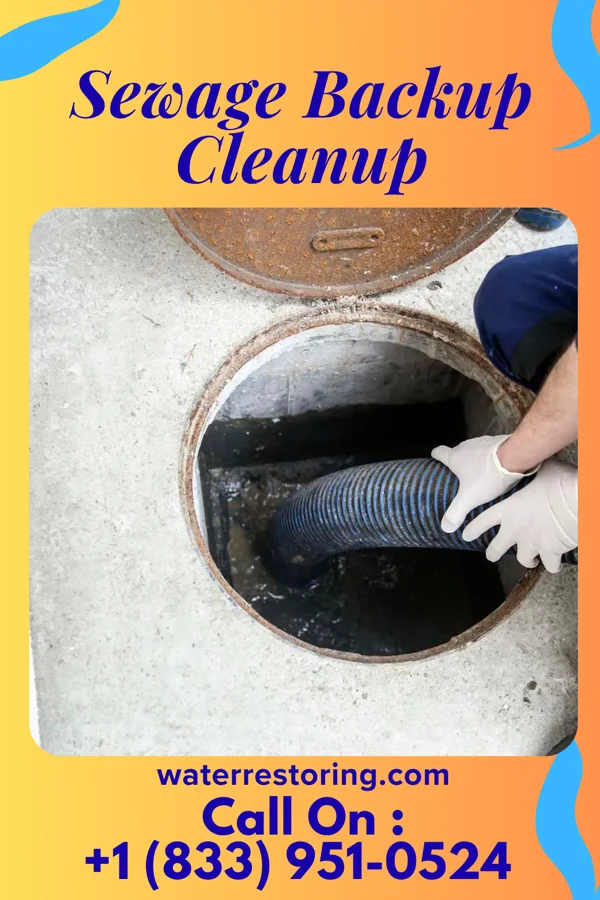 Sewage Backup Cleanup in Eddyville, KY